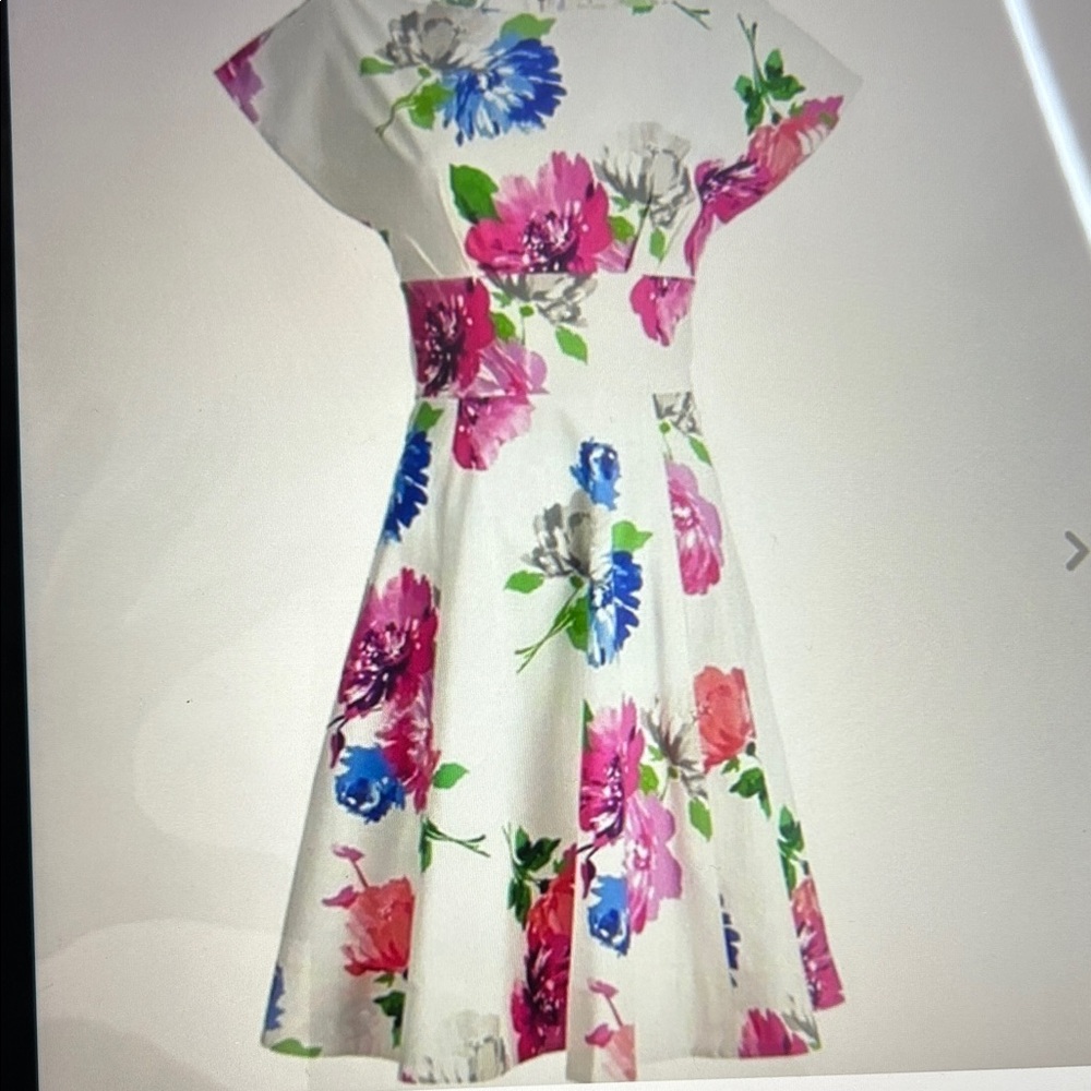 NWT Kate Spade In Bloom Fit & Flare Dress, 0